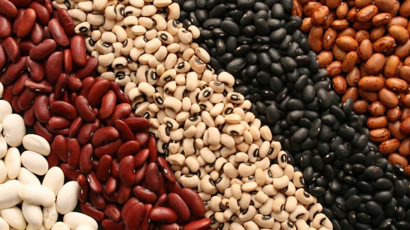 Feijão brasileiro em novos mercados
