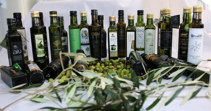 Minas Gerais deve atingir recorde na safra de azeite em 2026